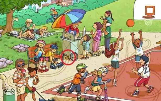 the car is hidden here